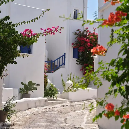Este Naousa Naousa (Paros)